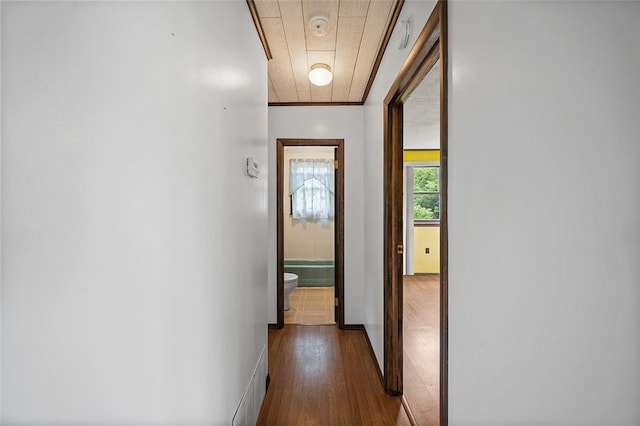 115 Shippingport Rd, Aliquippa, PA 15001 - hallway featuring dark wood-style flooring