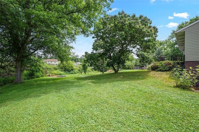 115 Shippingport Rd, Aliquippa, PA 15001 - view of green lawn