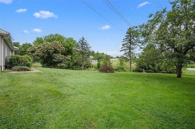 115 Shippingport Rd, Aliquippa, PA 15001 - view of green lawn