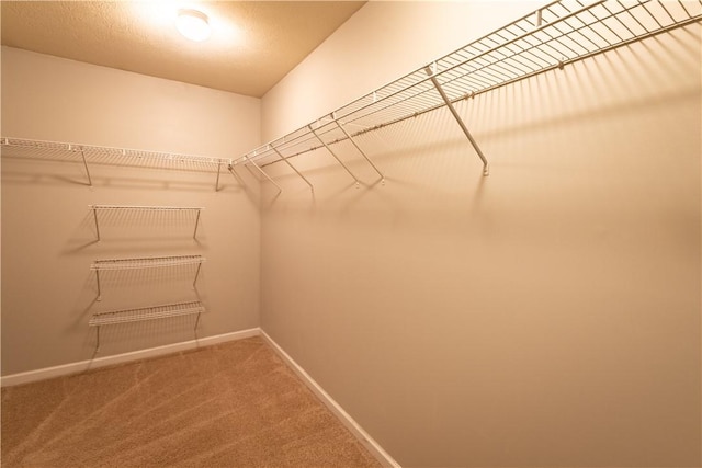 106 Kestler Dr, Pine Twp, PA 15090 - spacious closet featuring carpet flooring