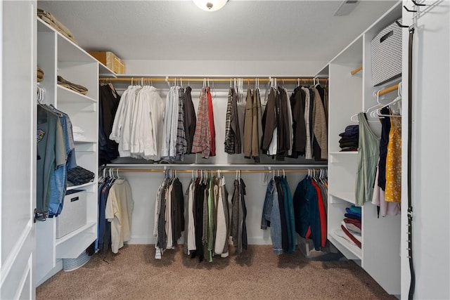 207 Tamarack Dr, Adams Twp, PA 16046 - walk in closet featuring carpet