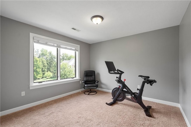 207 Tamarack Dr, Adams Twp, PA 16046 - exercise room with baseboards and carpet
