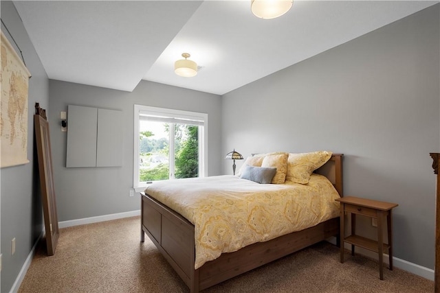 207 Tamarack Dr, Adams Twp, PA 16046 - bedroom featuring carpet flooring