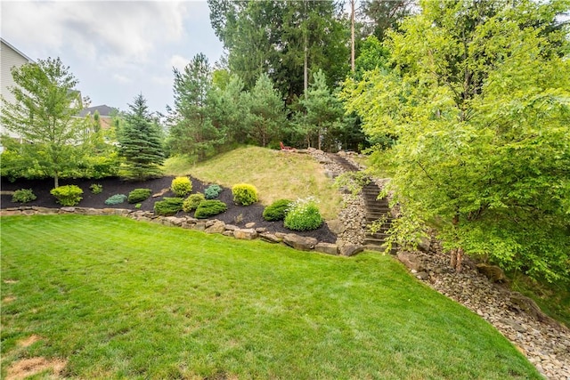 207 Tamarack Dr, Adams Twp, PA 16046 - view of green lawn