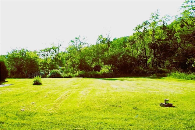 208 Theatre Rd, Pa, PA 15722 - photo 40