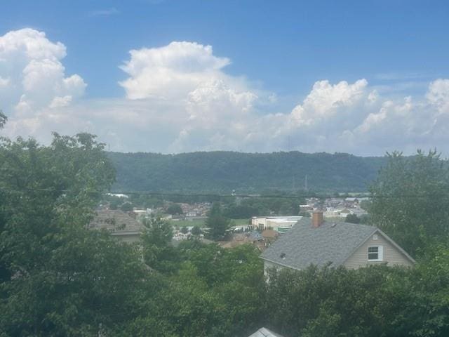 939 Walnut St, Ambridge, PA 15003 - photo 36