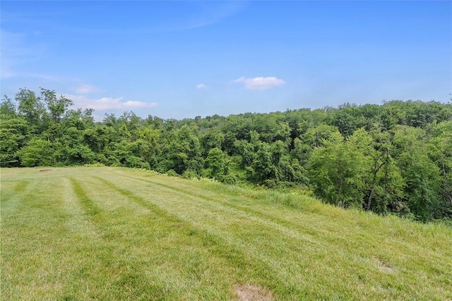 2034 Aiken Ct, Robinson Twp, PA 15136 - view of grassy yard with a view of trees