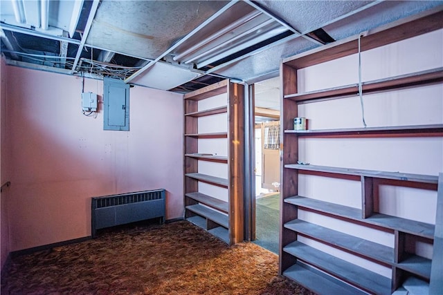 109 Maplewood Ave, Center Twp, PA 15001 - unfinished below grade area with carpet floors, electric panel, and radiator heating unit