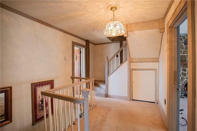 109 Maplewood Ave, Center Twp, PA 15001 - hallway featuring carpet floors, a chandelier, crown molding, and an upstairs landing