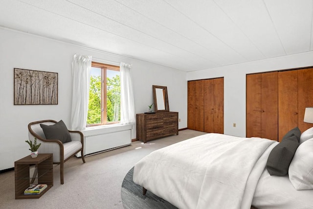 820 E Beau St Unit 6J, South Strabane, PA 15301 - bedroom featuring carpet and two closets