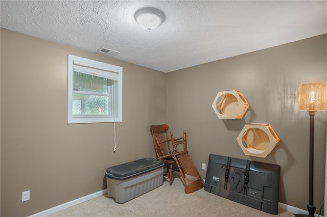 231 Loretta Dr, Monroeville, PA 15146 - miscellaneous room with carpet floors and a textured ceiling