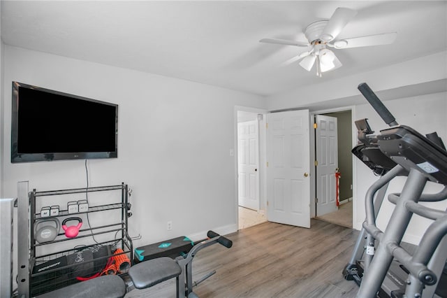 231 Loretta Dr, Monroeville, PA 15146 - workout room featuring a ceiling fan and light wood-type flooring