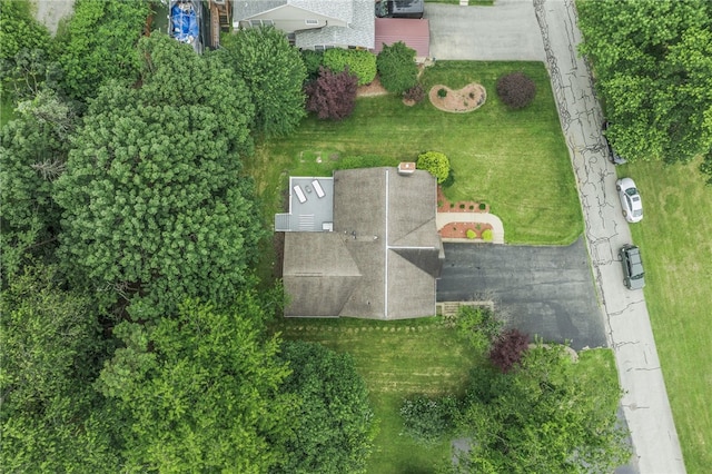 231 Loretta Dr, Monroeville, PA 15146 - aerial view of property and surrounding area