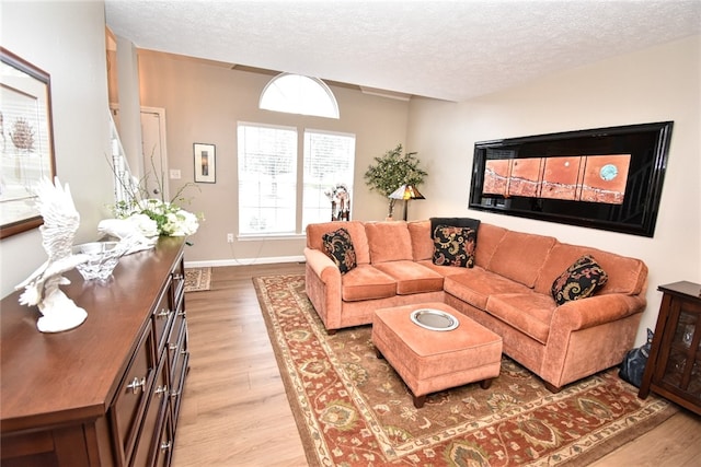 121 Sedeca Dr, North Strabane, PA 15317 - living area featuring light wood-style flooring and a textured ceiling