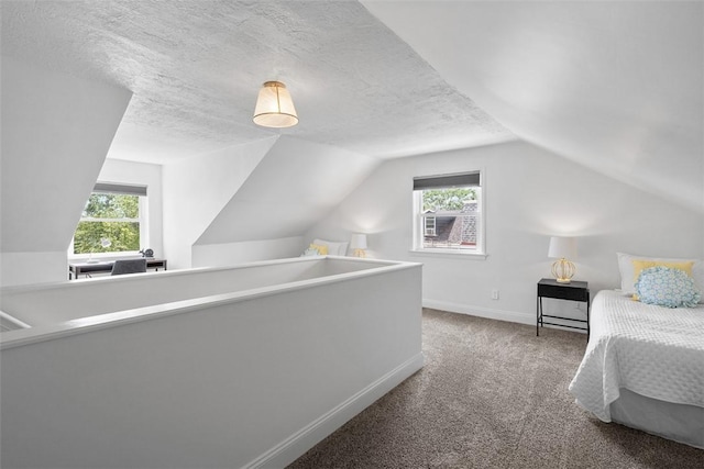 5110 Duncan St, Lawrenceville, PA 15201 - carpeted bedroom featuring vaulted ceiling and a textured ceiling