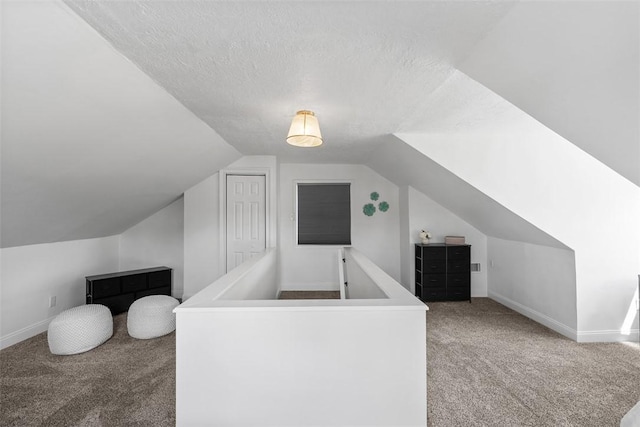 5110 Duncan St, Lawrenceville, PA 15201 - bonus room with carpet, lofted ceiling, and a textured ceiling