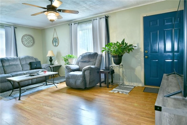 114 10th St, Pymatuning Twp, PA 16125 - living room with ornamental molding, light wood finished floors, a ceiling fan, and a textured ceiling