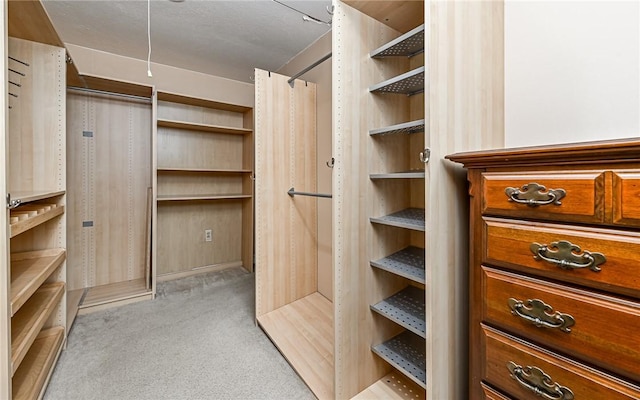 2514 Oakwood Rd, Shaler, PA 15116 - walk in closet featuring light carpet and attic access