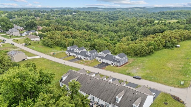 2215 Lebanon Dr, Elizabeth Twp/Boro, PA 15135 - aerial view of residential area with a heavily wooded area