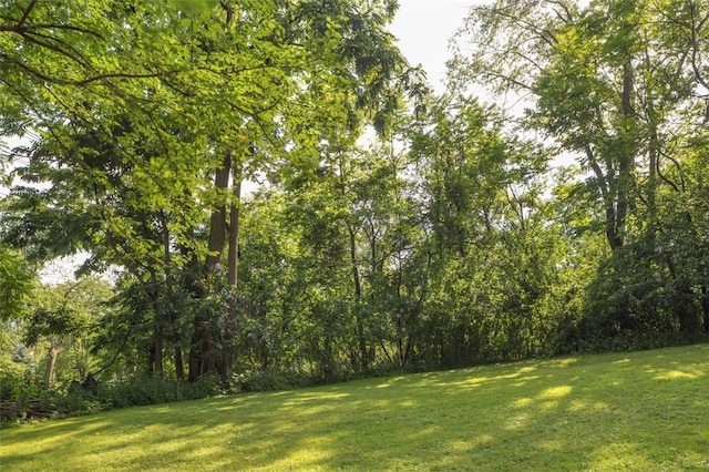 624 Orchard Hill Dr, Ohara, PA 15238 - photo 34
