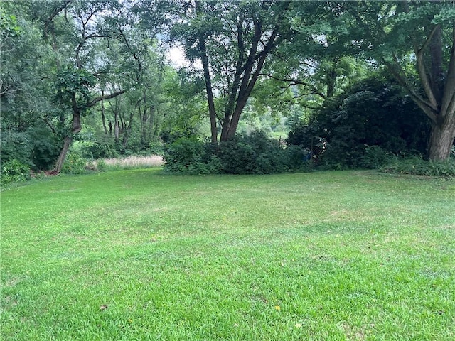 423 Bonniebrook Rd, Summit Twp, PA 16002 - view of grassy yard