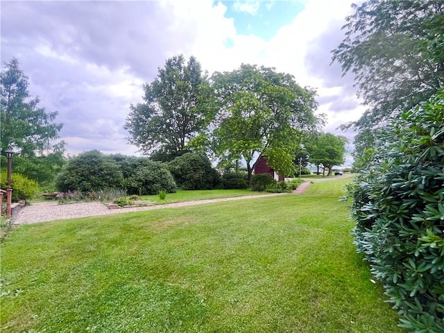 423 Bonniebrook Rd, Summit Twp, PA 16002 - view of grassy yard