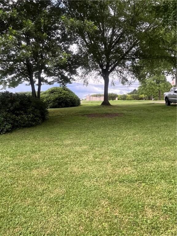 423 Bonniebrook Rd, Summit Twp, PA 16002 - view of grassy yard