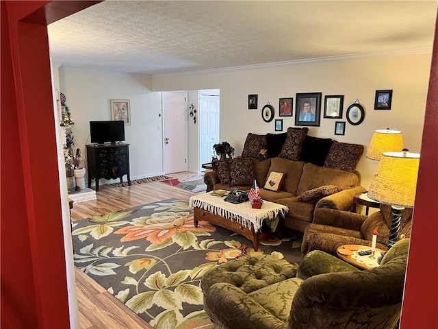 162 Plum St, Greenville Boro, PA 16125 - photo 6