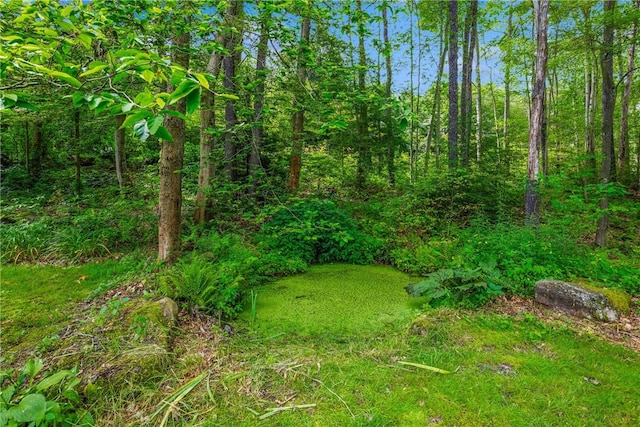 604 Lake Shore Rd, Lake Stonycreek, PA 15541 - view of nature