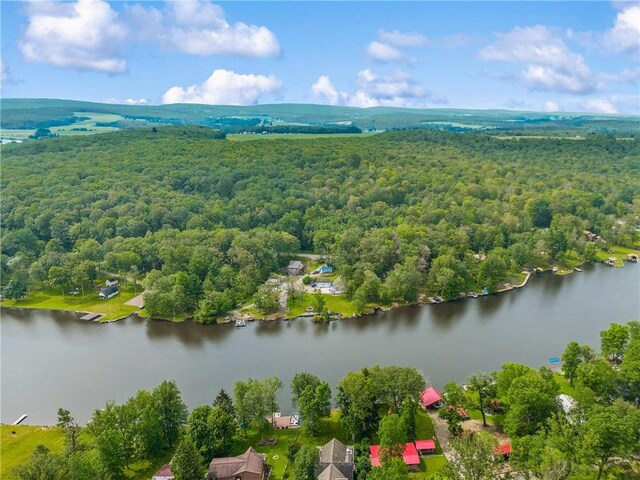 604 Lake Shore Rd, Lake Stonycreek, PA 15541 - drone / aerial view of a nearby body of water