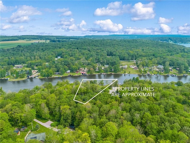 604 Lake Shore Rd, Lake Stonycreek, PA 15541 - aerial overview of property's location featuring property parcel outlined and a nearby body of water