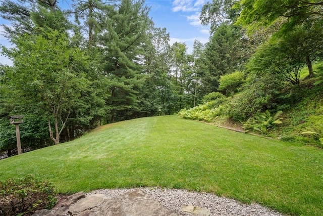 71 Mcclure Rd, West Deer, PA 15024 - view of grassy yard