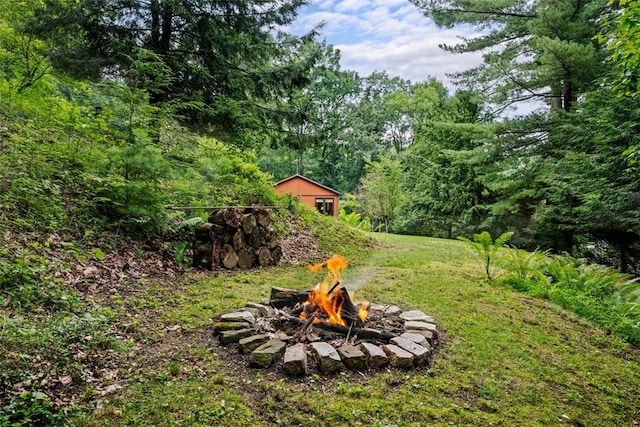 71 Mcclure Rd, West Deer, PA 15024 - view of green lawn featuring an outdoor fire pit and a wooded view