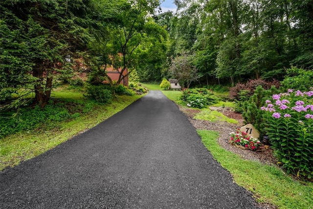 71 Mcclure Rd, West Deer, PA 15024 - view of asphalt driveway featuring a wooded view