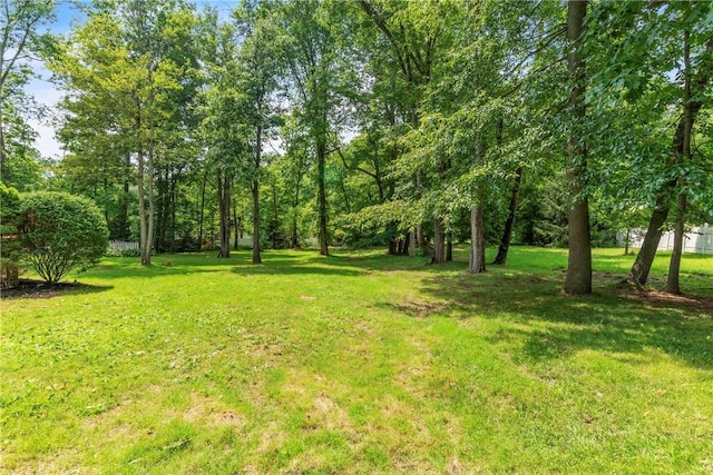114 Franklin Oaks Dr, Franklin Twp, PA 16001 - view of green lawn