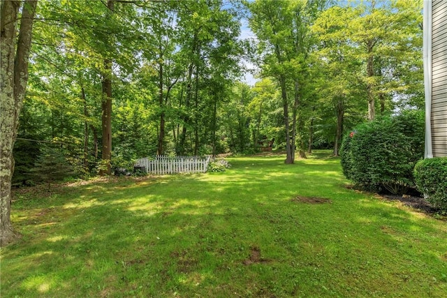 114 Franklin Oaks Dr, Franklin Twp, PA 16001 - view of yard