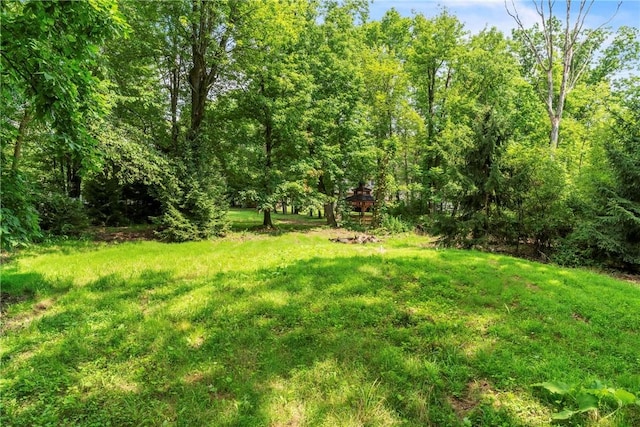 114 Franklin Oaks Dr, Franklin Twp, PA 16001 - view of green lawn with a view of trees
