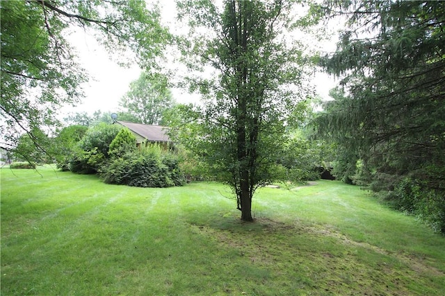 138 Demmel Dr, Peters Twp, PA 15317 - view of green lawn