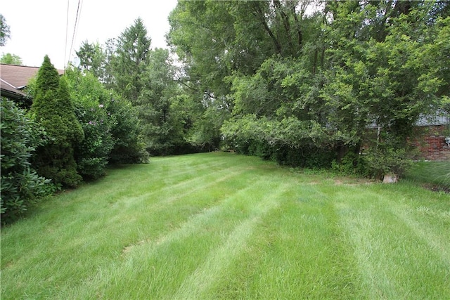138 Demmel Dr, Peters Twp, PA 15317 - view of green lawn