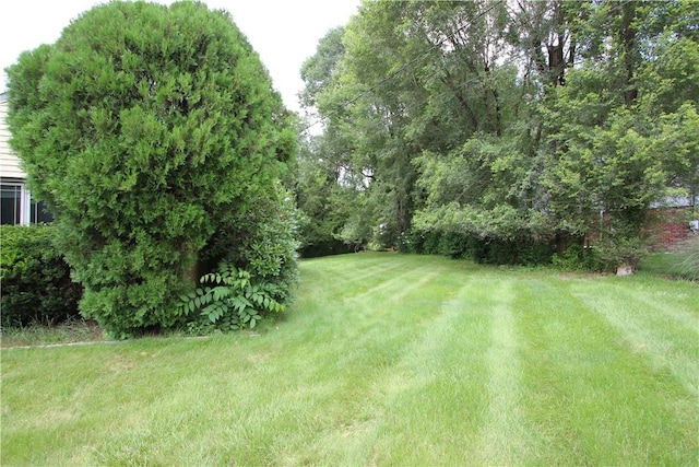 138 Demmel Dr, Peters Twp, PA 15317 - view of grassy yard