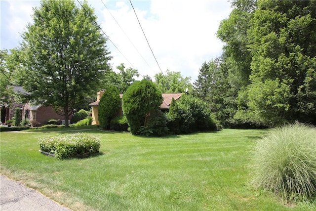 138 Demmel Dr, Peters Twp, PA 15317 - view of grassy yard
