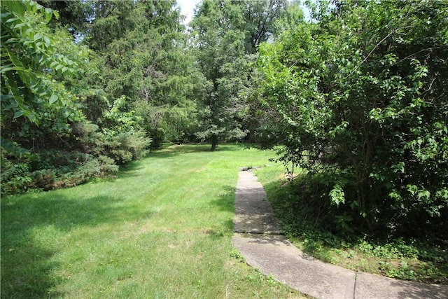 138 Demmel Dr, Peters Twp, PA 15317 - view of green lawn