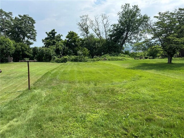 201 N 10th St, Connellsville, PA 15425 - view of grassy yard