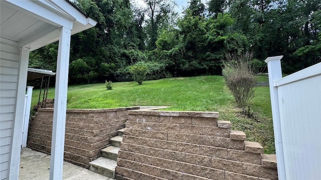 4010 Jane St, West Mifflin, PA 15122 - view of yard