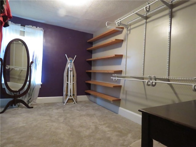 103 Cedar St, Masontown, PA 15461 - walk in closet featuring carpet