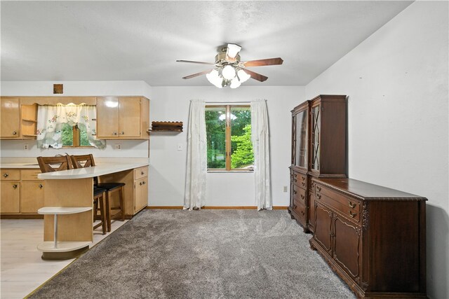 215 Diane Dr, Carroll Twp, PA 15063 - kitchen with ceiling fan, a peninsula, open shelves, and light countertops