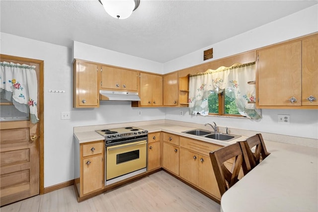 215 Diane Dr, Carroll Twp, PA 15063 - kitchen featuring range with electric stovetop, under cabinet range hood, light countertops, and light wood-type flooring