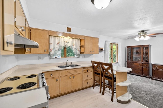 215 Diane Dr, Carroll Twp, PA 15063 - kitchen featuring under cabinet range hood, light countertops, ceiling fan, white range with electric cooktop, and a textured ceiling