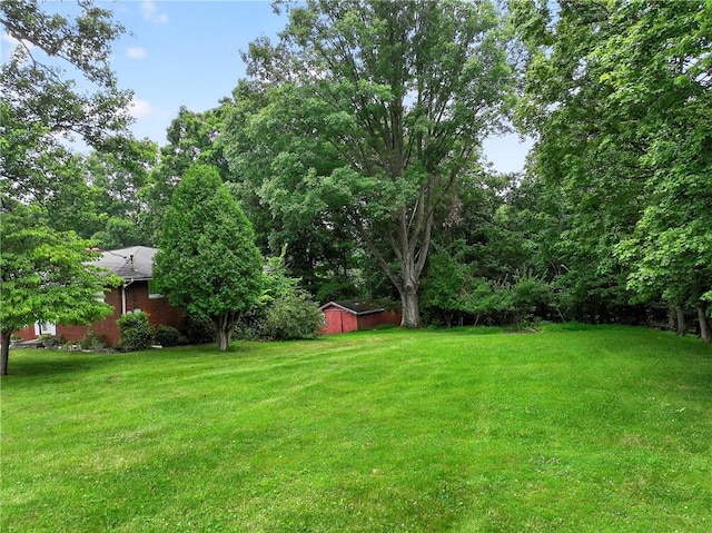 215 Diane Dr, Carroll Twp, PA 15063 - view of green lawn