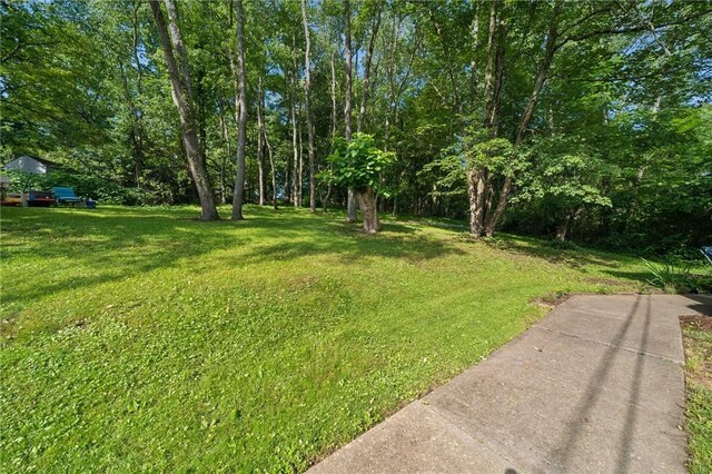 15 Old Saxonburg Blvd, West Deer, PA 15084 - view of green lawn